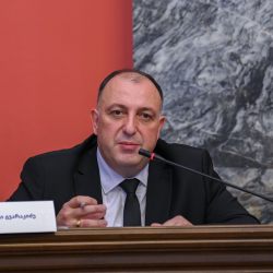 გვარაკიძე სპეცრაზმელების დაკავებაზე: არ აქვს მნიშვნელობა ეს 5 პირი იქნებოდა, 10 თუ 100