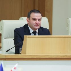 გაბიტაშვილი: სანქცირება პრობლემას არ წარმოადგენს, რომ მეკავოს გენ.აუდიტორის თანამდებობა