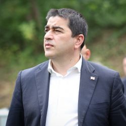 პაპუაშვილი EU-ზე: საქართველო ნამდვილად არ აპირებს სსრკ-ზე უარეს პირობებზე სადმე შესვლას