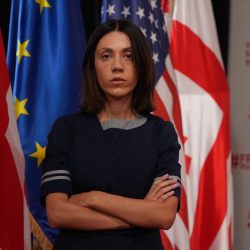 წითლიძე: არასწორი გადაწყვეტილებები გაგრძელდება, სანამ ენმ-ში დემოკრატია არ დამყარდება