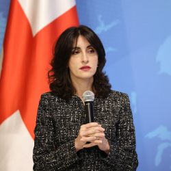 ბოჭორიშვილი: ახალი არაფერი არ არის, წლებია ვაფიქსირებთ, რომ ღია ვართ EU-სთან დიალოგისთვის