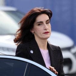 ბოჭორიშვილი რეზოლუციაზე: ეს ყველაფერი საქართველოს რეპუტაციის შელახვას ემსახურება