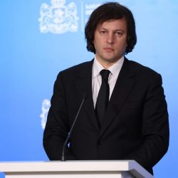 კობახიძე რეზოლუციაზე: პირდაპირ დისკრიმინაცია ჩანს, ეს არ არის ჯანსაღი მიდგომა