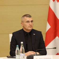 მდინარაძე: ჩვენ ვზრუნავთ მაქსიმალურ პოზიტივზე