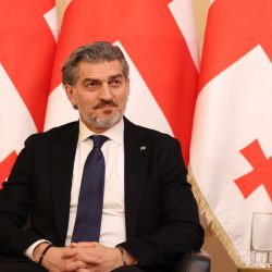 ყაველაშვილი: ხალხის თანადგომით მოვახერხეთ  ჭეშმარიტი სუვერენიტეტისკენ სვლის დაწყება