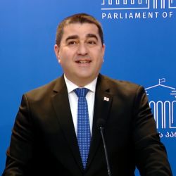 პაპუაშვილი: პარტიების აკრძალვის სარჩელის უკან 1 120 000 ადამიანი დგას