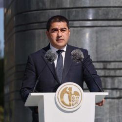 პაპუაშვილი: არგუმენტების სიმწირის დროს თავშესაფრად მორალური პიედესტალიდან საუბარი იქცა